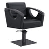 Salon Chair with Titanium Black Stainless Steel Arms - Bello Titanium Black Styling Chair DIR Store