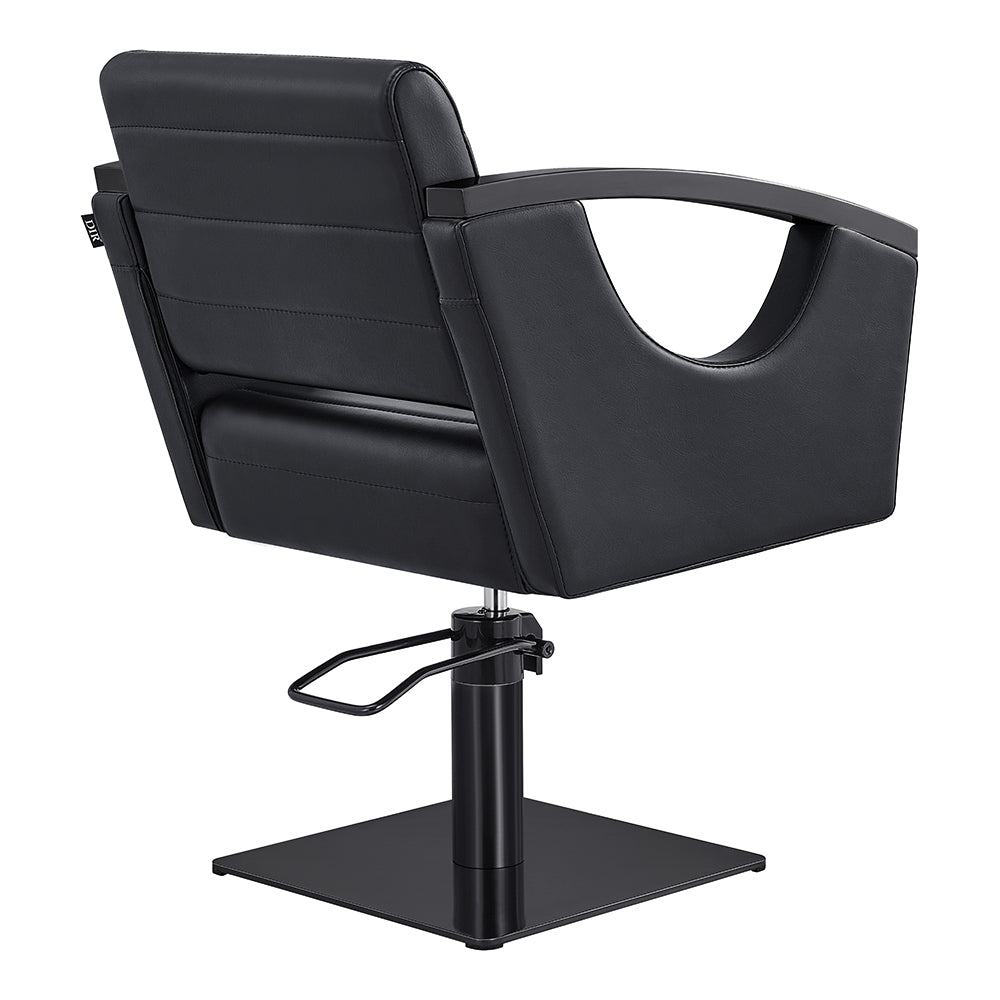 Salon Chair with Titanium Black Stainless Steel Arms - Bello Titanium Black Styling Chair DIR Store