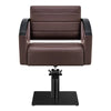 Salon Chair with Titanium Black Stainless Steel Arms - Bello Titanium Black Styling Chair DIR Store