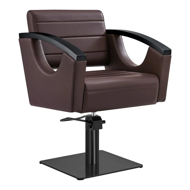 Salon Chair with Titanium Black Stainless Steel Arms - Bello Titanium Black Styling Chair DIR Store