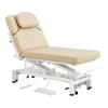 Physiotherapy Physio Massage Treatment Beauty Bed - VitalEarth - DIR Store