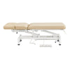 Physiotherapy Physio Massage Treatment Beauty Bed - VitalEarth - DIR Store