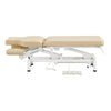 Physiotherapy Physio Massage Treatment Beauty Bed - VitalEarth - DIR Store