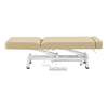 Physiotherapy Physio Treatment Beauty Couch / Beauty Bed / Massage Table - WellRelax spa - DIR Store