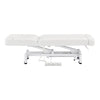 Physiotherapy Physio Treatment Beauty Couch / Beauty Bed / Massage Table - WellRelax spa - DIR Store