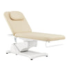 Clinic Tattoo Spa Massage Treatment Bed - Serenity Facial Beauty Bed - DIR Store