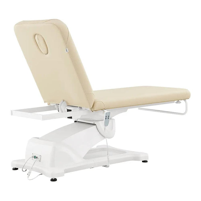 Clinic Tattoo Spa Massage Treatment Bed - Serenity Facial Beauty Bed - DIR Store