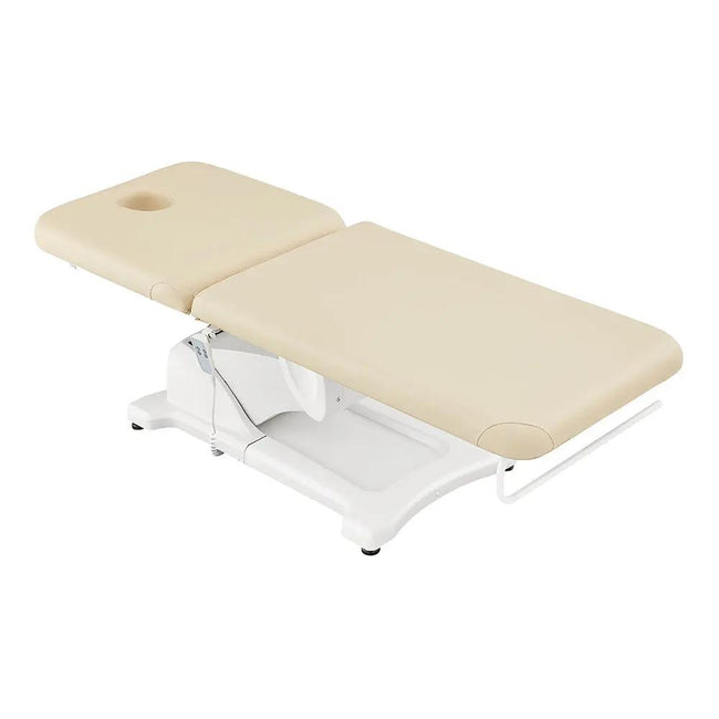 Clinic Tattoo Spa Massage Treatment Bed - Serenity Facial Beauty Bed - DIR Store