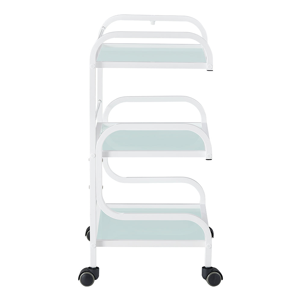 Damien Medical Spa Trolley Cart